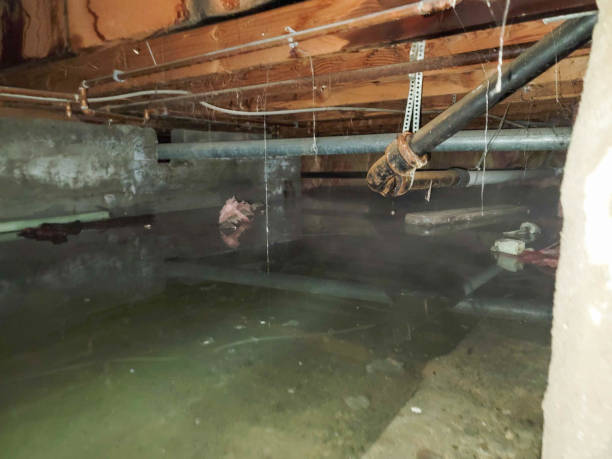 Best Sewage cleanup and water damage restoration  in Dunnstown, PA