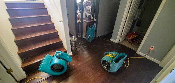 Best Carpet water damage restoration  in Dunnstown, PA