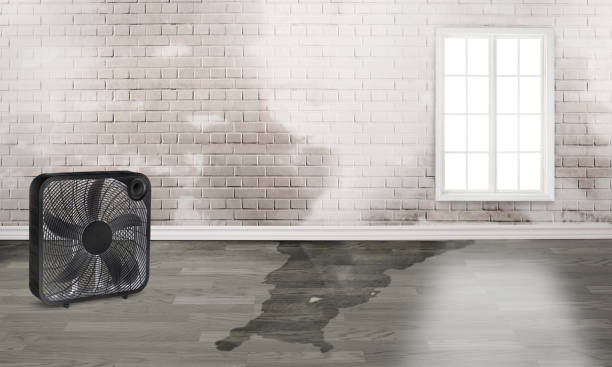 Best Water damage restoration near me  in Dunnstown, PA