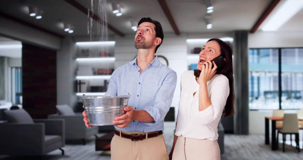 Best Ceiling water damage repair  in Dunnstown, PA